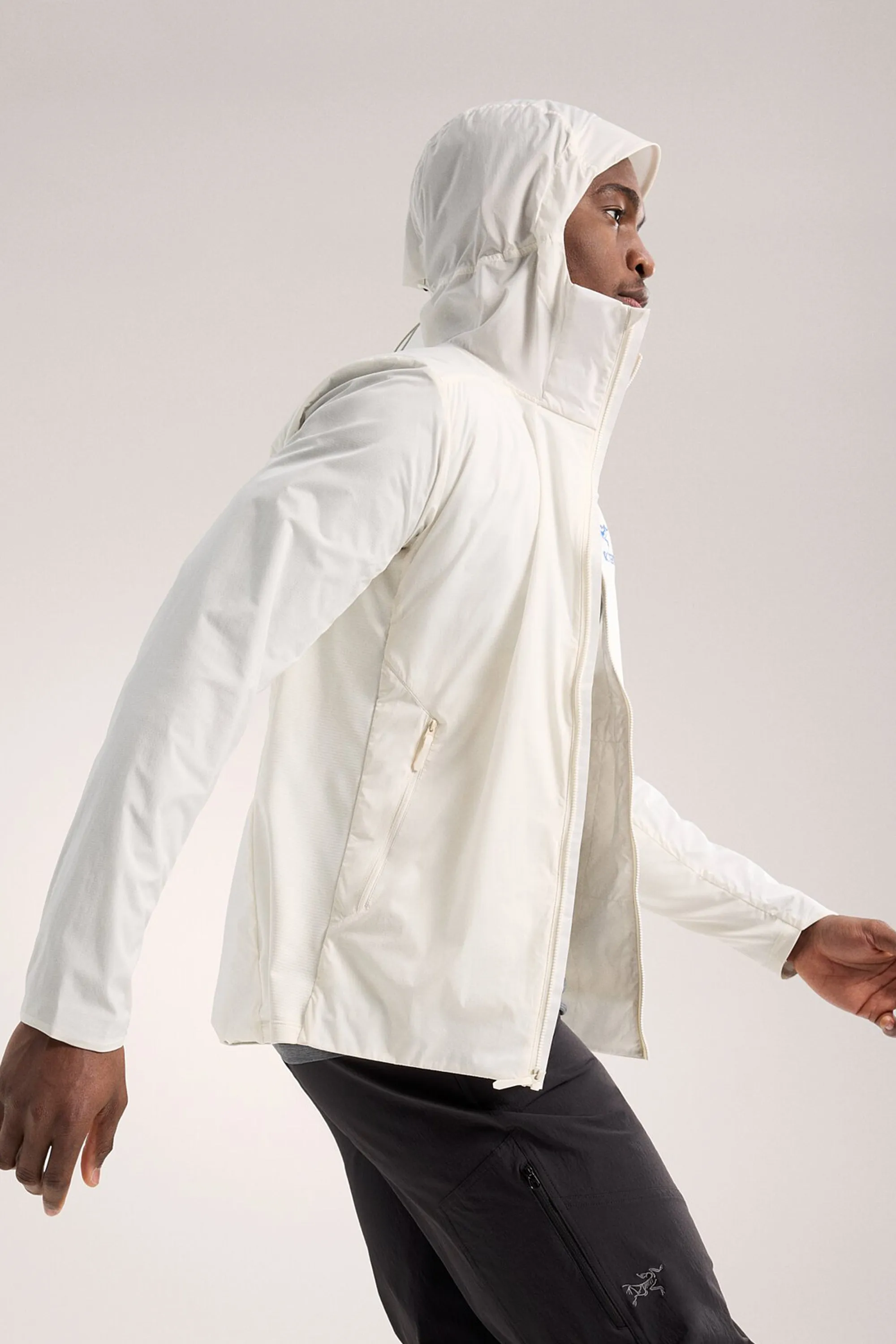 Arc'teryx Men's Atom SL Hoody in Arctic Silk/Vitality