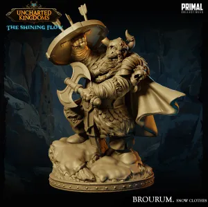 DNDUK - Bruenor Battlehammer (Snow) - Brourum Axedelver - Male Shield Dwarf miniature