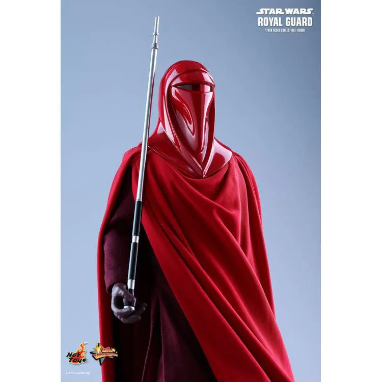 Royal Guard - Hot Toys Movie Masterpieces Series 1/6 Scale Figure (Sealed )